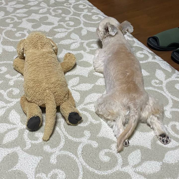 17b3cb64 c8b0 45dd 8b61 1a478d0374e2 1729691306657