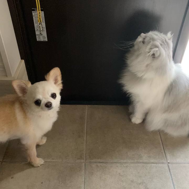 17b42625 c8b4 4c8c 9bac d03ef49e7c13 1657620449069