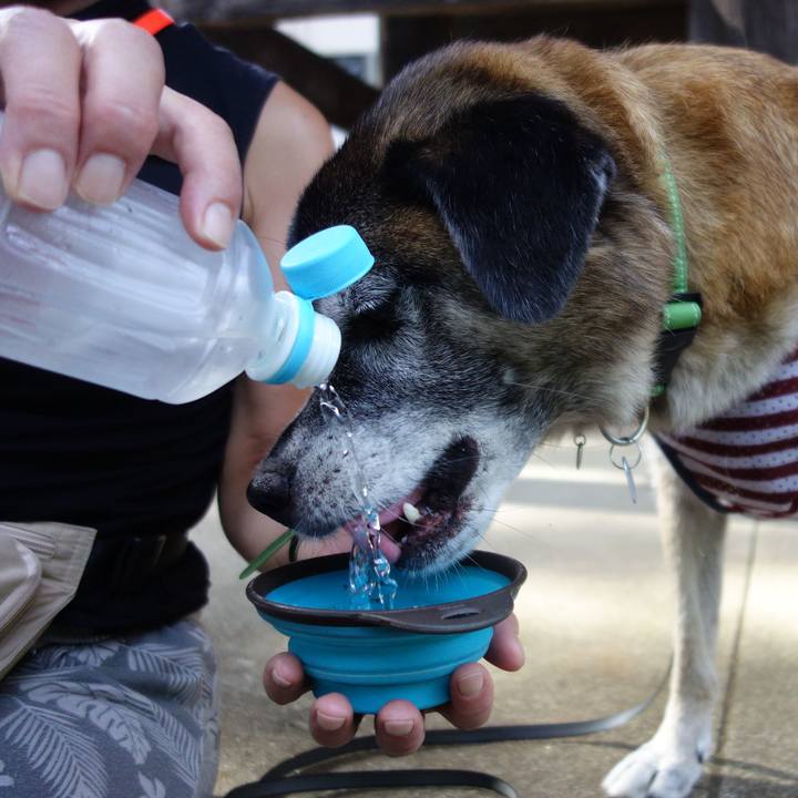 17b461fd 60f6 4a3d b6ce a86a8fde2251 1534292335046