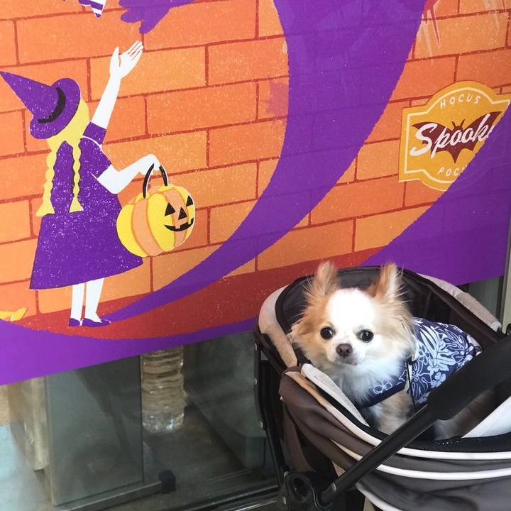 17b46269 e7d5 47ae 8567 2460500a291f 1604753768469