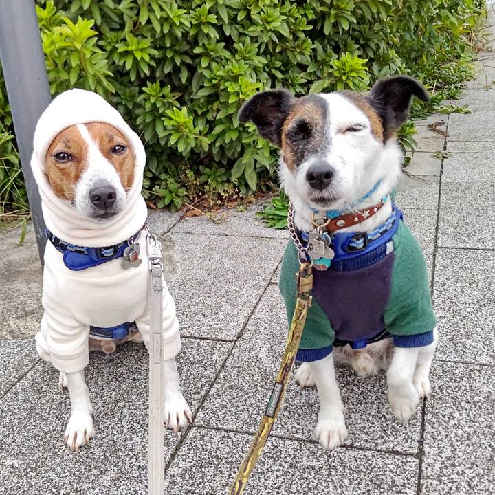 17b46371 e65f 4e0a 9455 254e2fed08e4 1634595553108