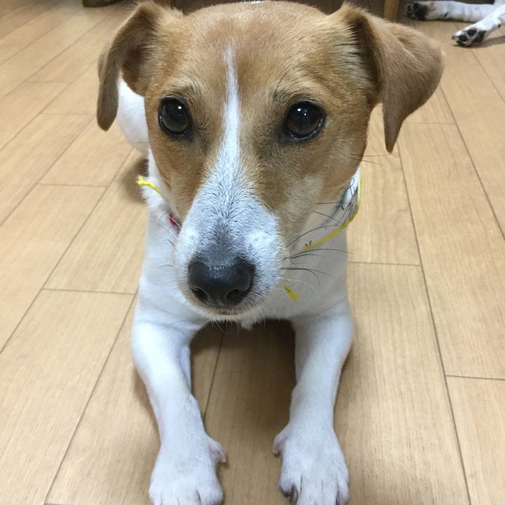 17b47f1a f0b9 42da 80f9 e1f032f784c4 1555407408463