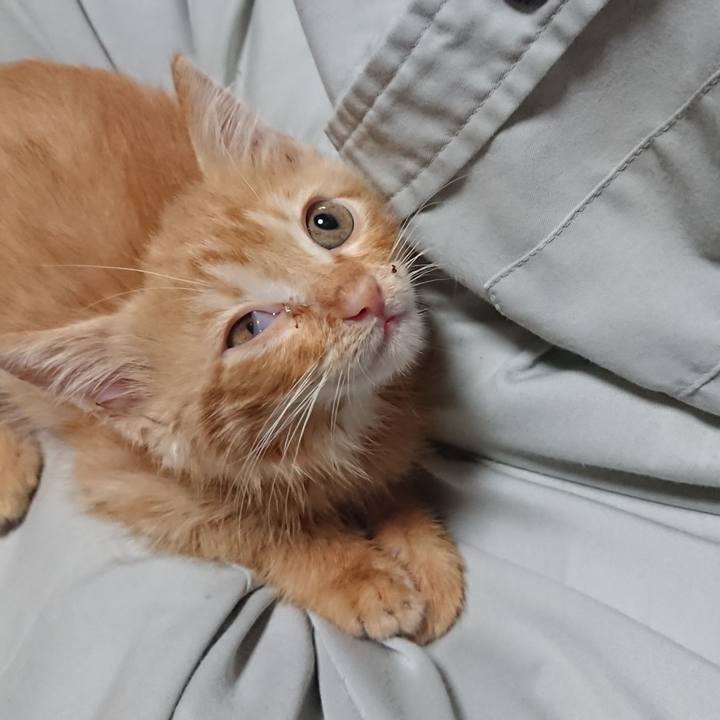 17b47f21 1035 4033 bce2 c05cca2c3a4a 1627781827132