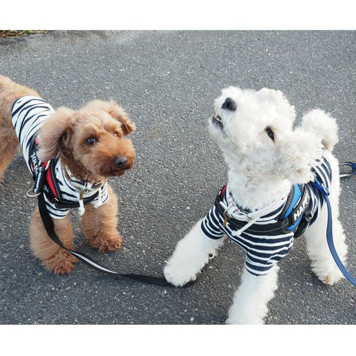 17b4b147 5e8e 4b0d 8e1d 28183722bdad 1508814336304