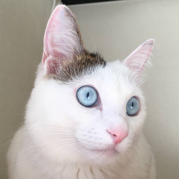 17b4b780 90c9 4590 bc3b 06e5cb69ecb3 1521247096729