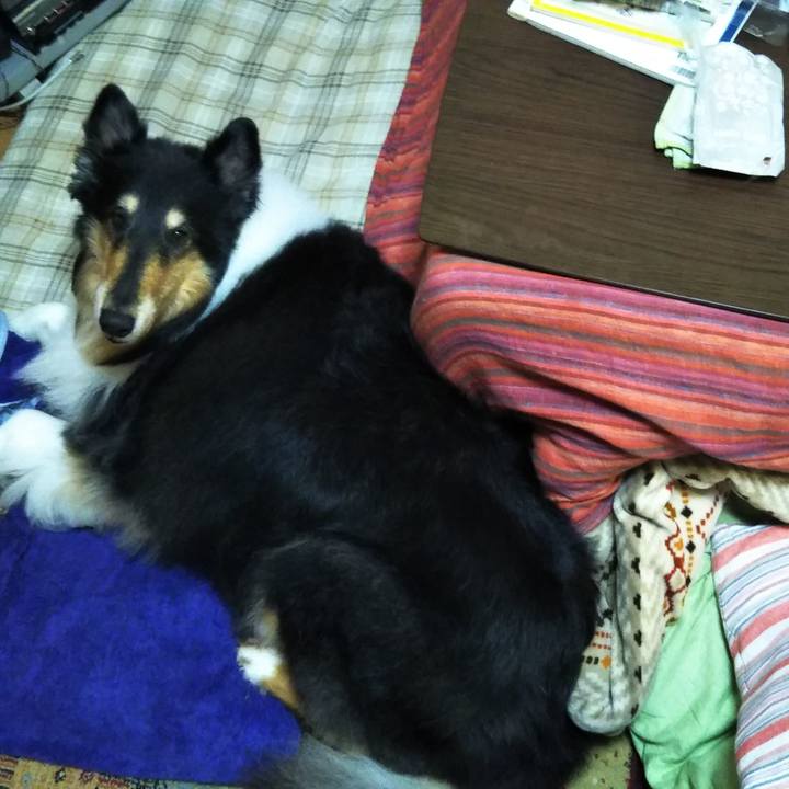 17b4e823 ee9f 4389 aad2 f6af14a1f1ca 1573913452469