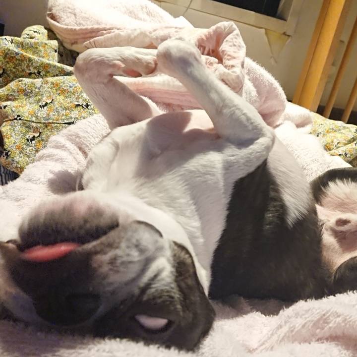 17b4f551 8533 4234 9d20 dee79339e975 1524404842808