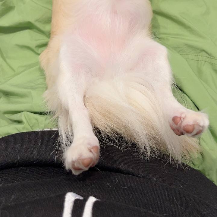 17b5d0ae ee34 4b8f beef 8889a23ec709 1731674435160