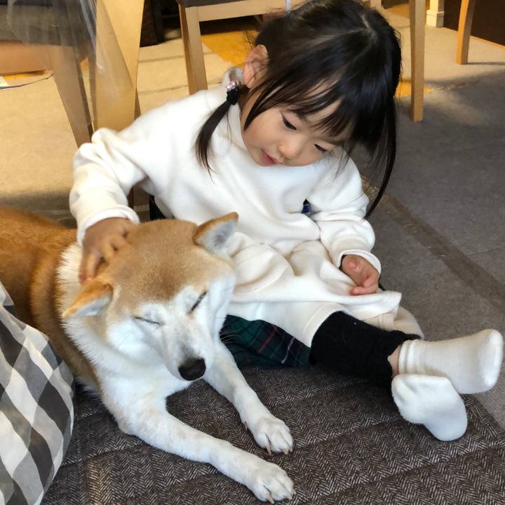 17b5efb6 0b00 40cc abea 487533c2fccb 1611206238922