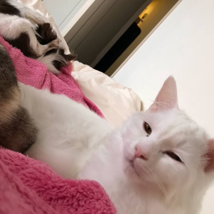 17b63967 ef5e 4e3b 935a 05176d3c531b 1518313690984