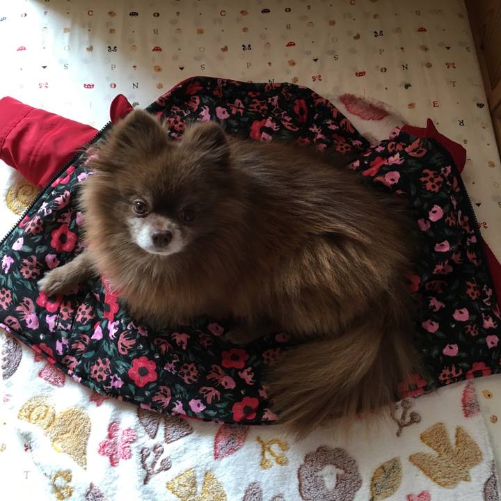 17b66741 bd64 46be 922b d32039d94d4c 1519609528038