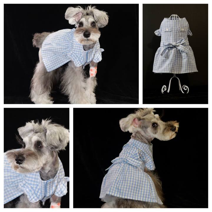 17b686b7 86d5 417e a4e9 32314d42de4d 1731856069914