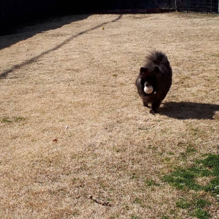 17b69973 9848 4f93 bf4d 418985fa9ad3 1517976490789