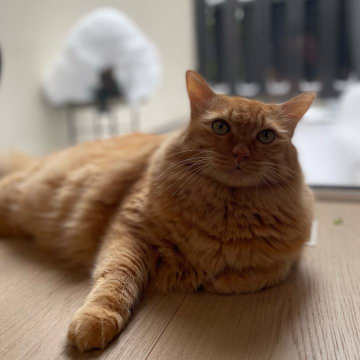 17b69fe4 6c36 4407 91b5 4f6fa657690e 1769049322944