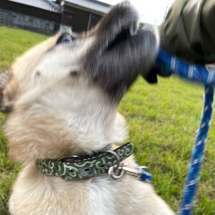 17b6d346 a17f 474b 8222 e7d9a084d359 1637238658670