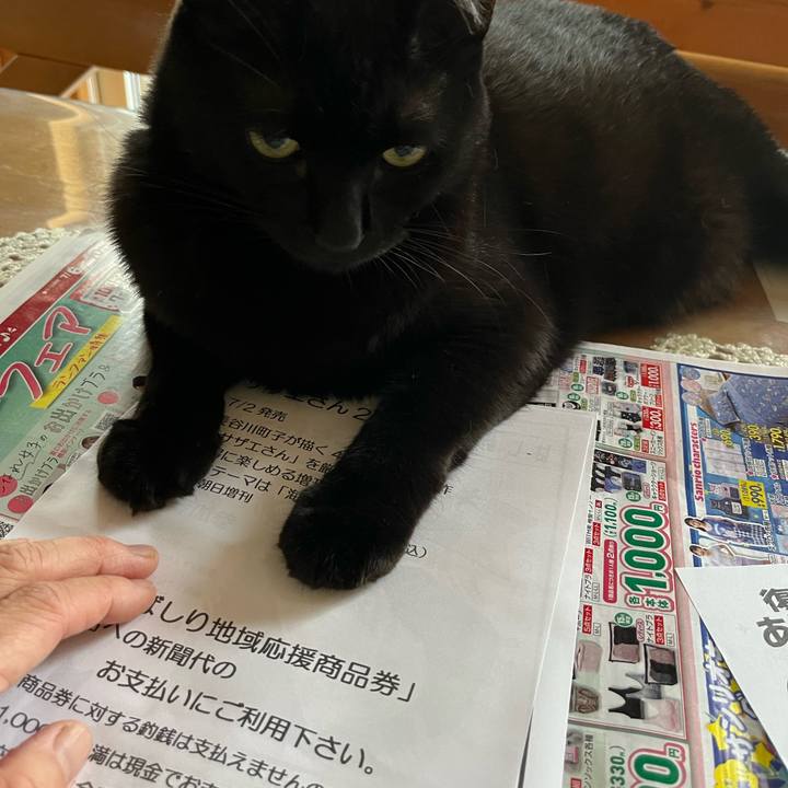 17b6dc77 509c 43a3 8160 f1332b400b47 1657057771175