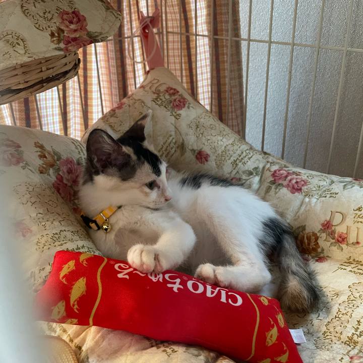 17b6eb71 17bd 4fd2 a914 62fc1b564123 1658281148860