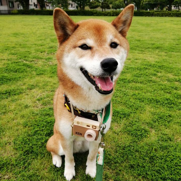 17b7100e bc75 40de 8d6e 20766f316c48 1624347051370