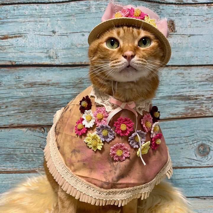 17b720c7 05d2 47bd ae3f 9356696ae783 1695252969632