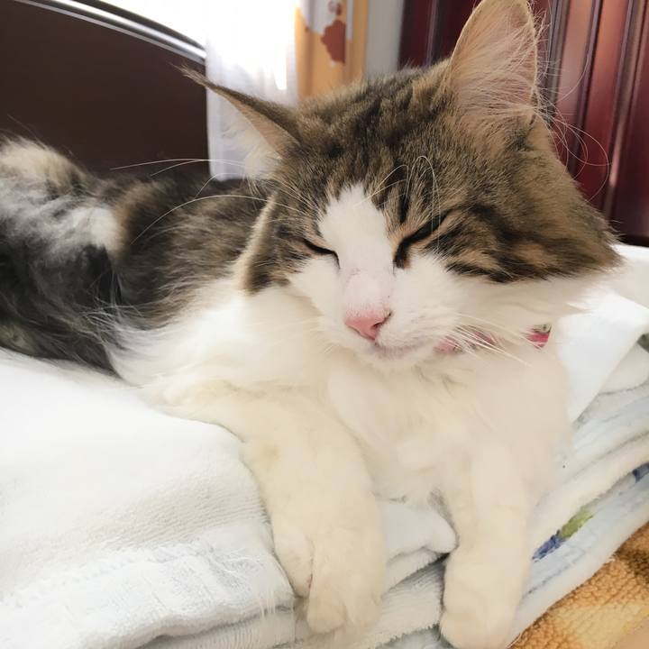 17b793e2 ffb8 4550 8f1b 0558a30c0713 1508732576569