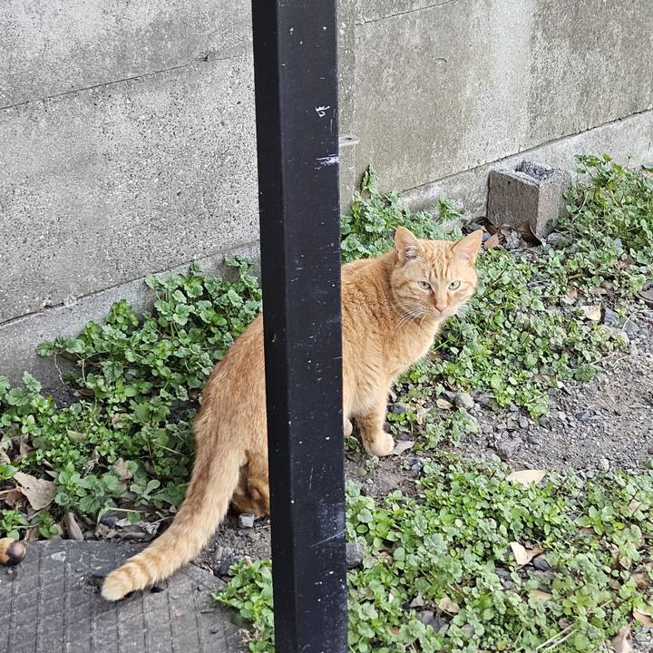 17b7ee56 100a 4b7c abf9 d87b0af70e4e 1706946041798