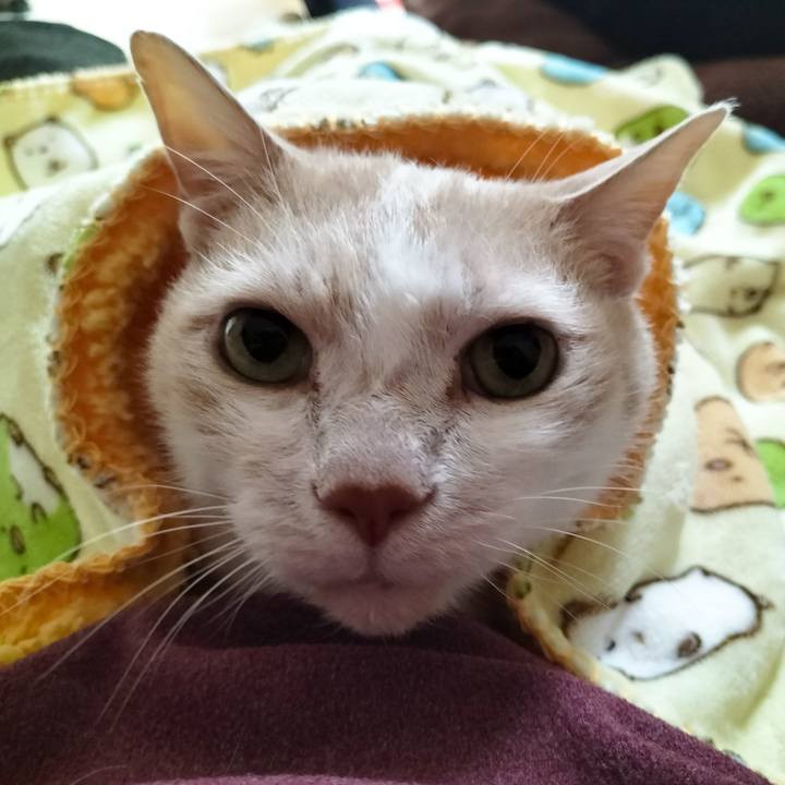 17b8104a 26ae 4d29 8065 aaf3da89cfe5 1679806204202