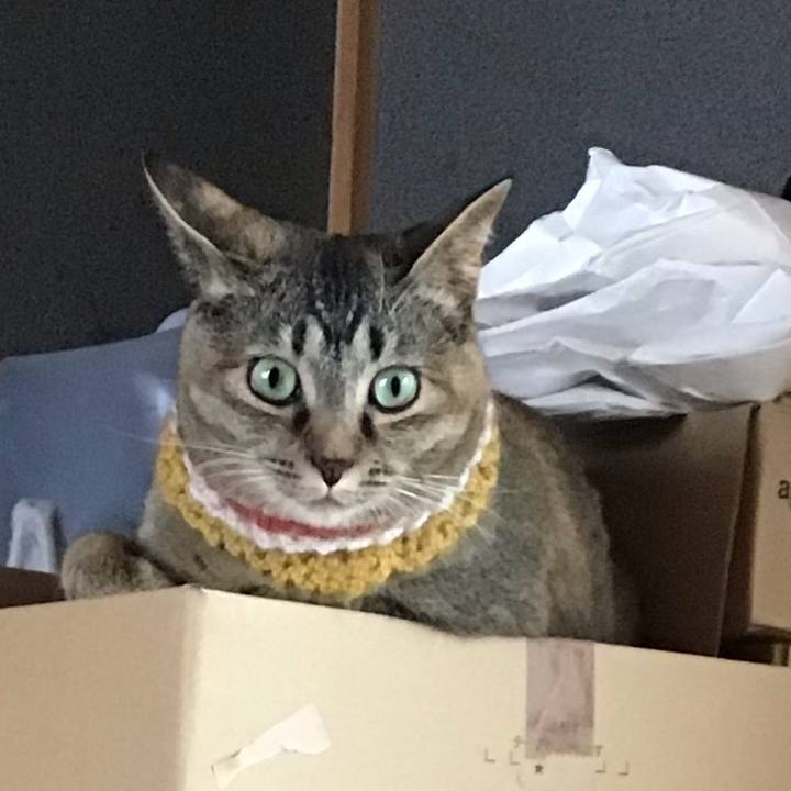 17b81c85 e667 4b1d ae0c 127822311294 1623654361193