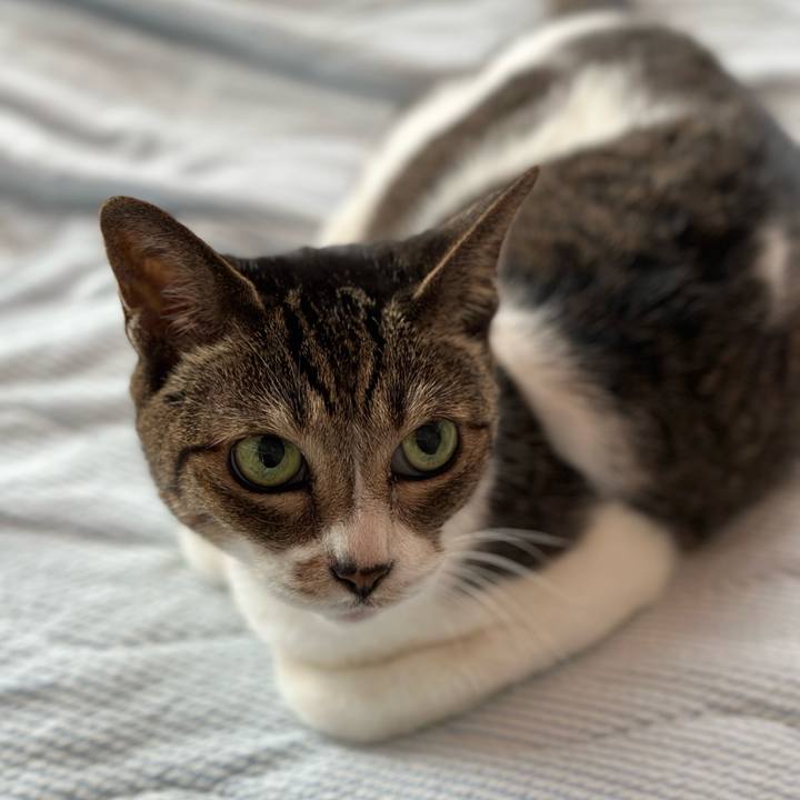 17b823bb 6fc5 4293 ae10 67fa07bbfa94 1665107344447