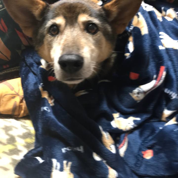 17b86a4e 3e92 4817 bbee 2f99334fdf99 1544218928657