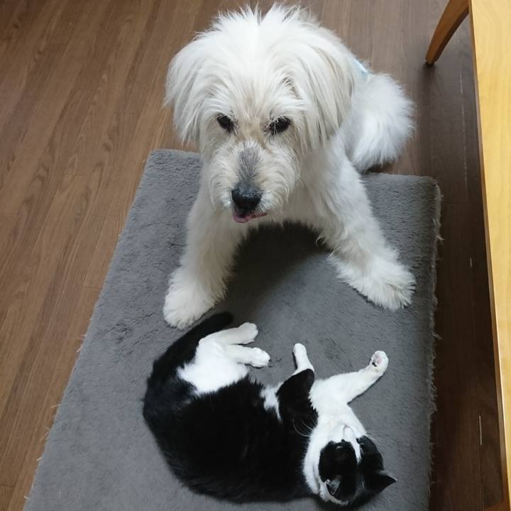 17b86db1 2f65 4f73 a0f5 6abf056ecda9 1590152529735