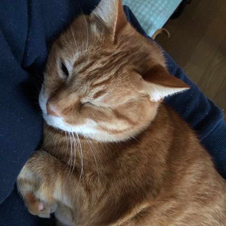 17b89cf0 ed2e 480c b944 e2616f1c8597 1734764733857