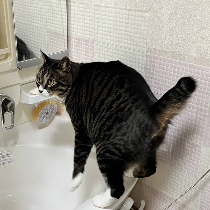 17b8aaaf d67f 4917 986f 8d9860d6d769 1764029414974