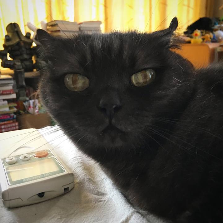 17b8ec39 b6e9 4e76 99ee 0c97513deddb 1530706821901