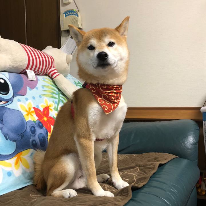 17b907b0 d22f 433c 943e 105a799cafc1 1541588683966