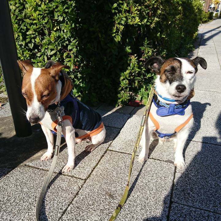 17b90a0f 21d5 4e07 b268 3d6e861cb7d5 1575420539661