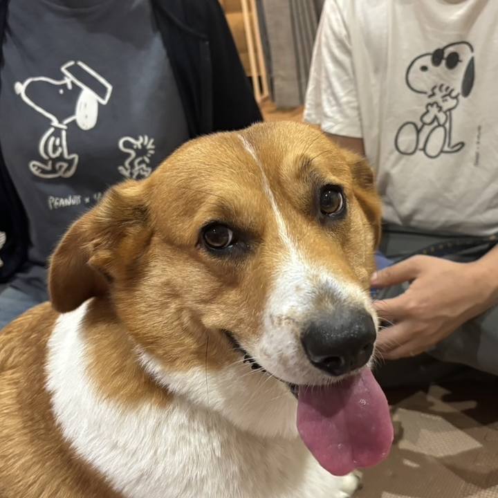 17b91325 d69e 4508 887a b90fb8cae489 1719793686272