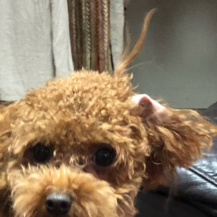 17b94c00 7ba6 4765 895a 105c6430067e 1510991058360