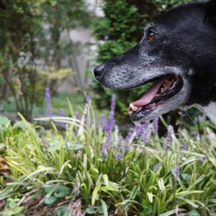 17b9aef0 559a 4cca 91b2 7831b387edae 1760315588264