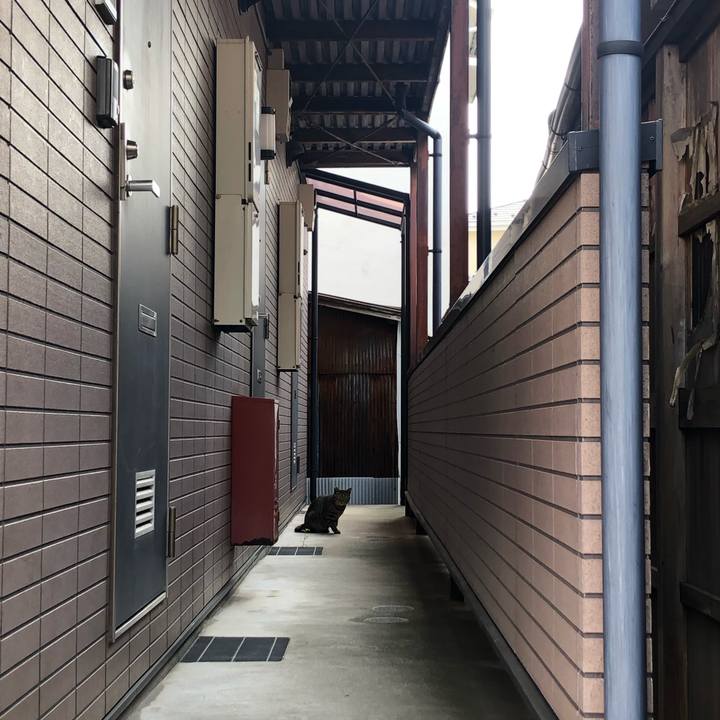 17b9feb5 a4c9 4834 8037 99d7f973d59e 1617093526173