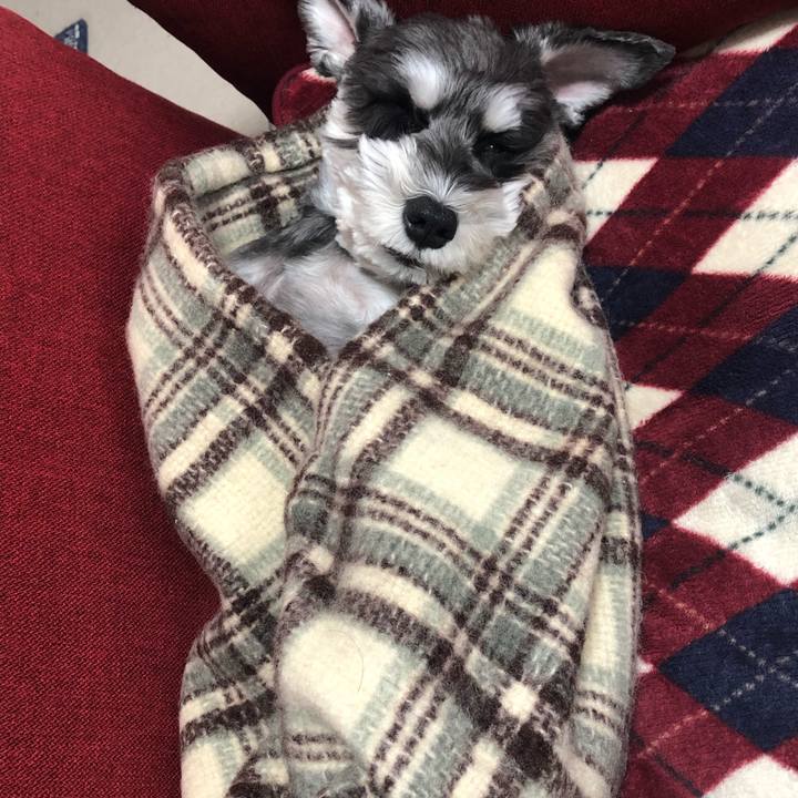 17ba0d02 6827 4d11 b8c5 4e69c714faee 1603090506054