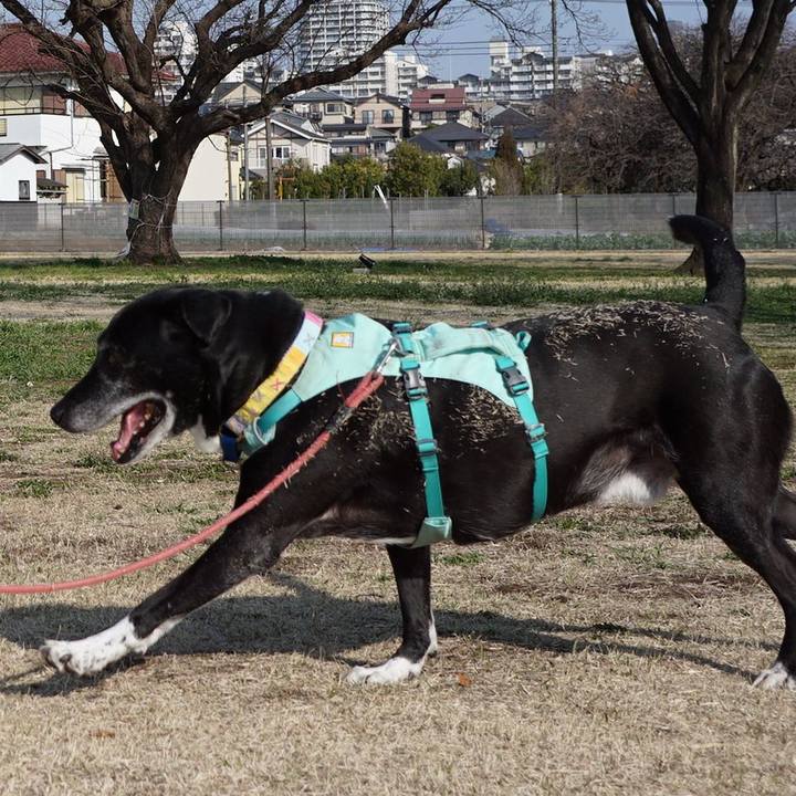 17ba1aed 519d 4db5 99ce 4fe18f0f4411 1774140566139