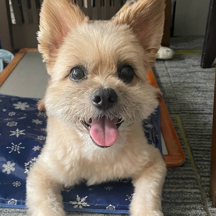 17ba28b2 8a5a 4a56 bda3 92437cdcf34b 1757412171139