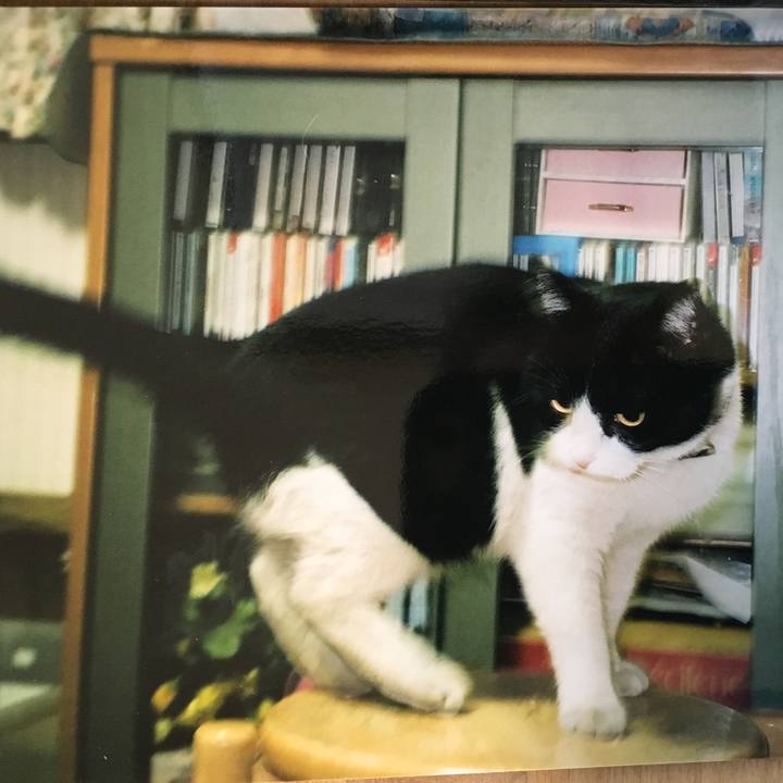 17ba3a01 4a4a 4c32 ac37 740e2791c81e 1531719562432