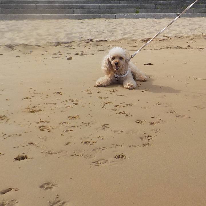 17ba43e1 ee51 4e16 adb0 e7e1593855a5 1627107984213