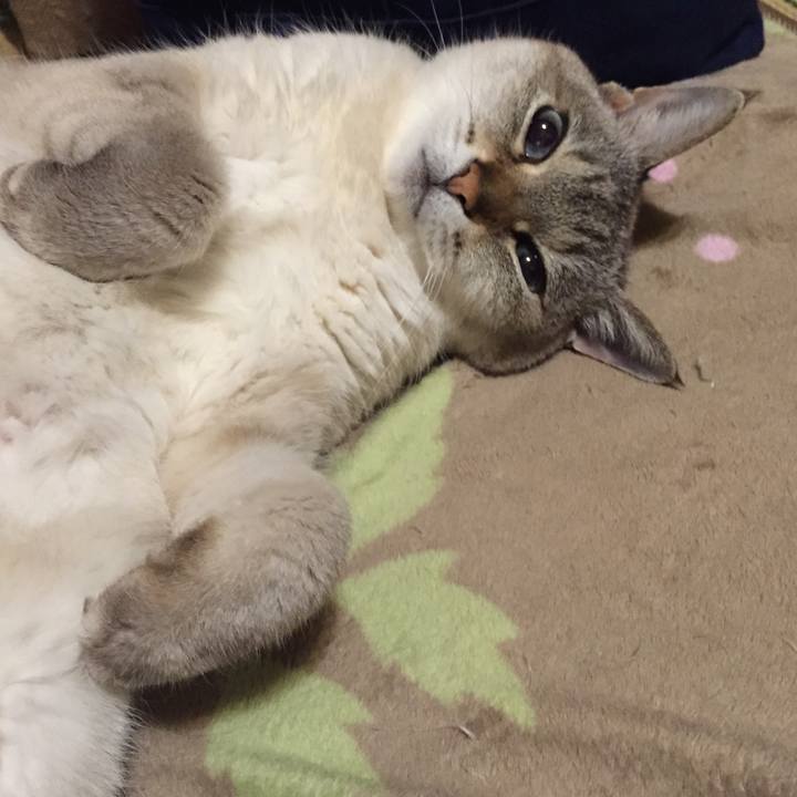 17ba6369 2d7d 490e 8ba9 4d328be93f49 1552135300311