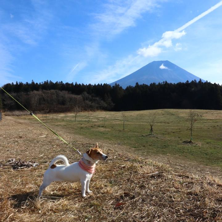 17ba9fdf 0cae 4769 877b 1506d42837f2 1609046816296