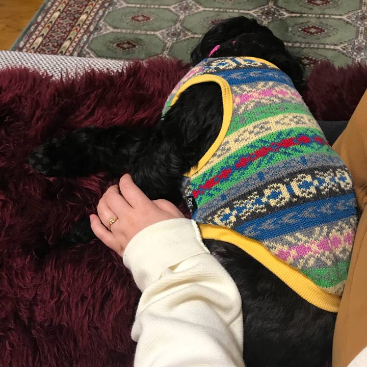 17babbc2 f0bd 4d8e 88cc 89d6c4d386e2 1516709887029