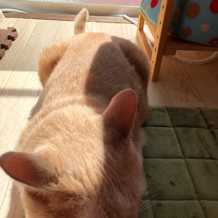 17bb07df 4e6c 43fa a7bb 6edbbaca1b6a 1526690314424