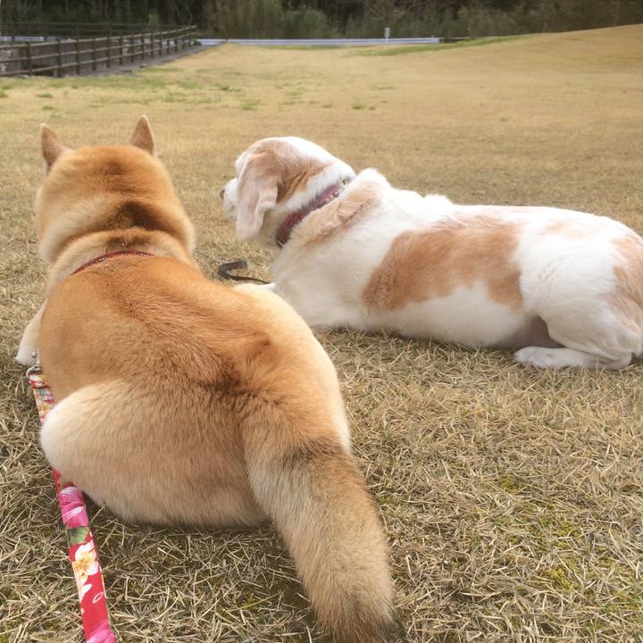 17bb11d9 22e3 48e2 ab66 d85b46d237ca 1667578163773