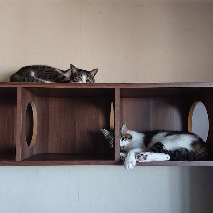 17bb1d56 9655 49a3 ac42 98e6bcac2117 1689113142649